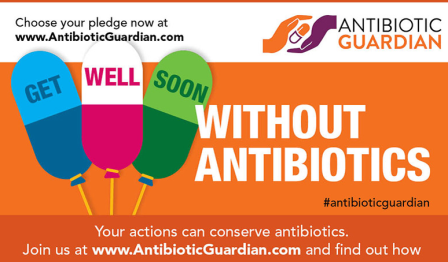 antibioticguardian.png